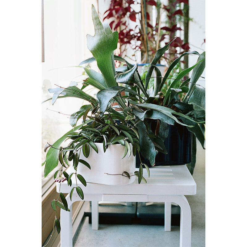 Artek 153A Bench