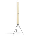 Flos SuperWire F Floor Lamp