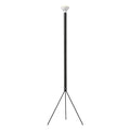 Flos Luminator Floor Lamp