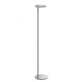 Flos Oblique Floor Lamp